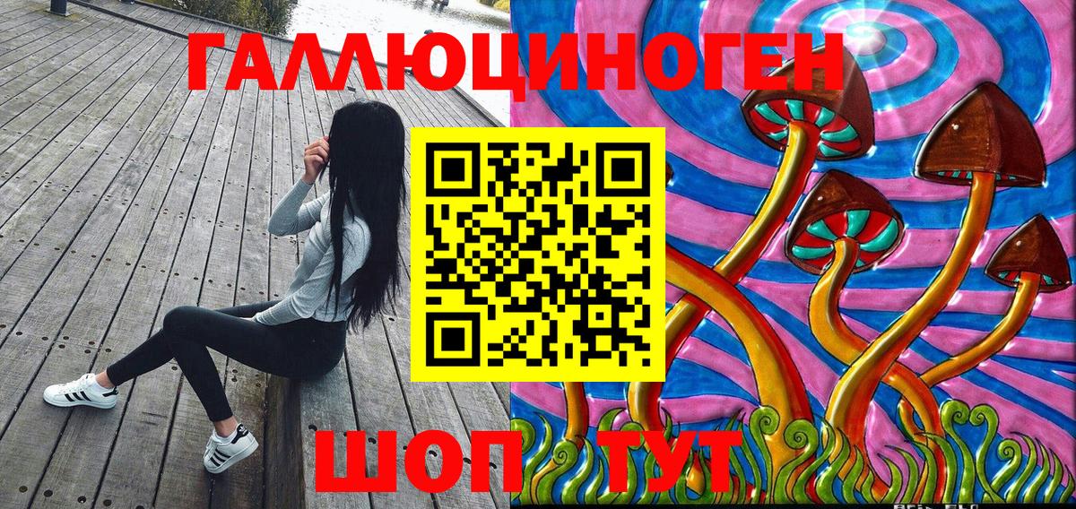 Псилоцибиновые грибы ЛСД  Вход с VPN  Новозыбков 